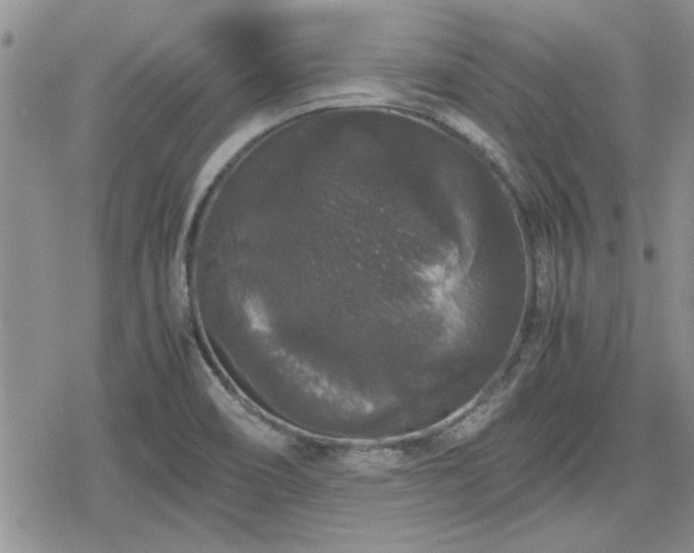 X0000078841466200611201301