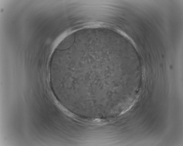 X0000078841467200611201301