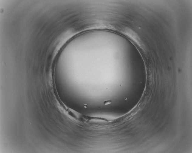 X0000078841468200611201301