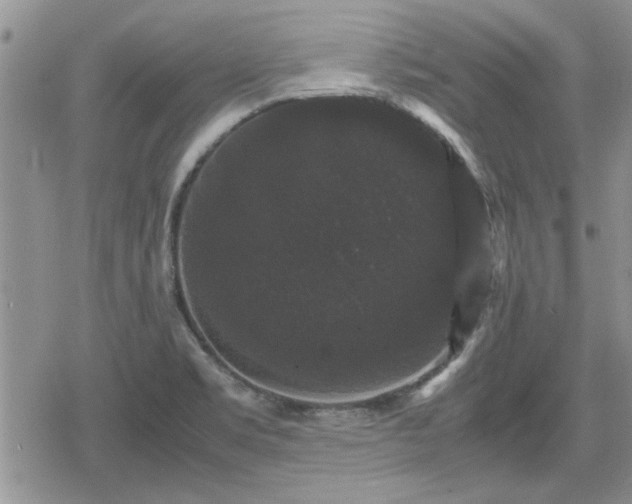 X0000078841469200611201301