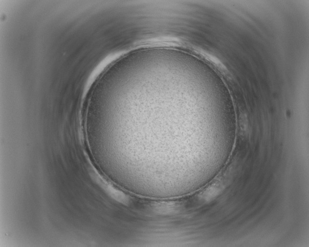 X0000078841470200611201301