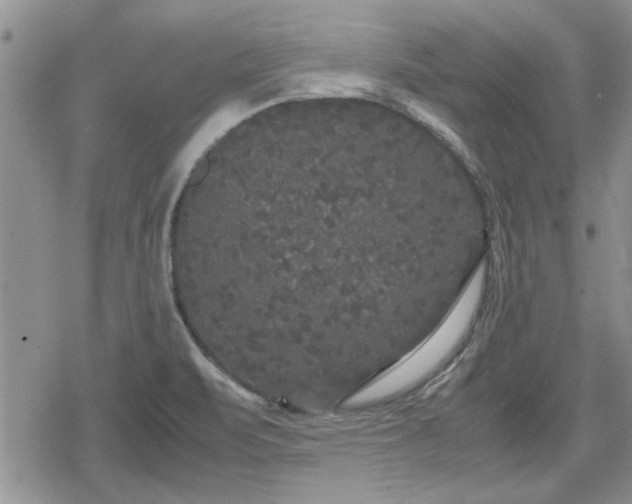 X0000078841471200611201301