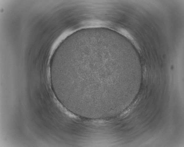 X0000078841472200611201301