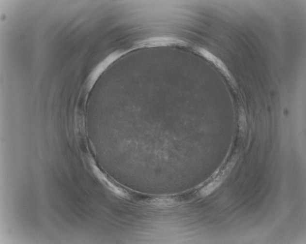 X0000078841473200611201301