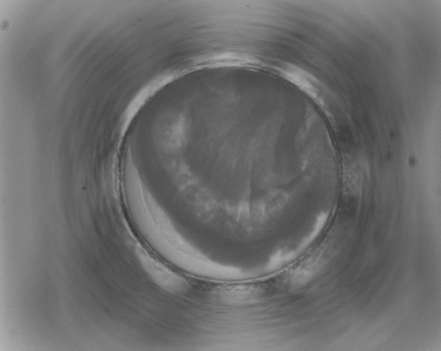 X0000078841474200611201301