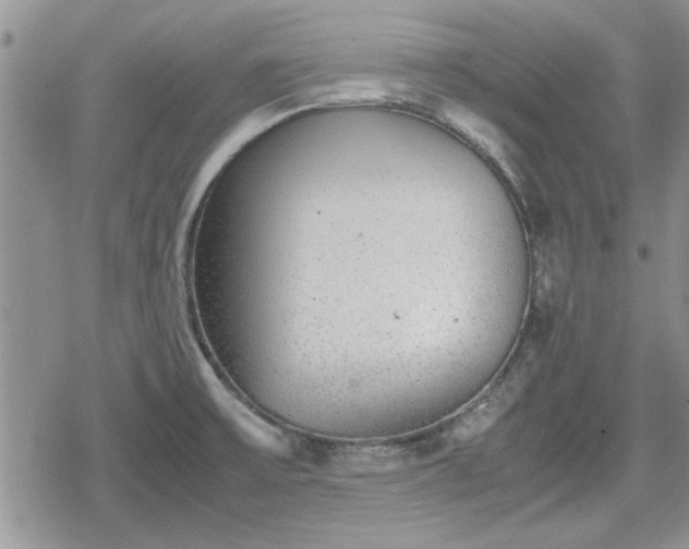 X0000078841475200611201301