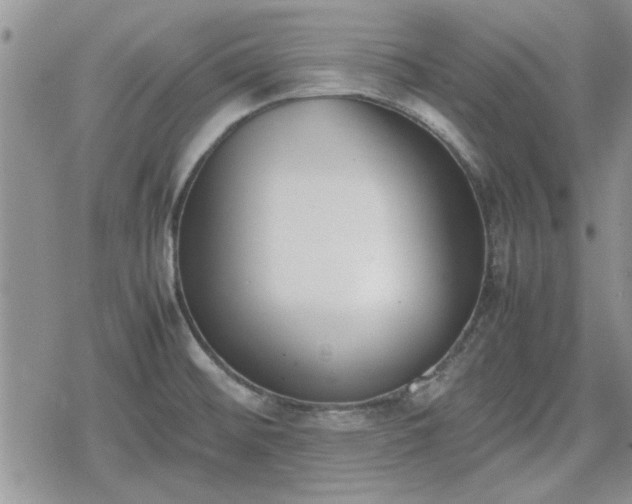 X0000078841476200611201301