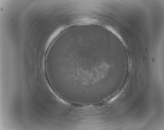 X0000078841477200611201301