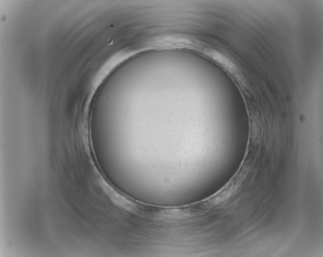 X0000078841478200611201301