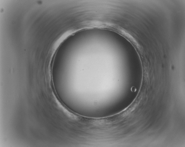 X0000078841479200611201301