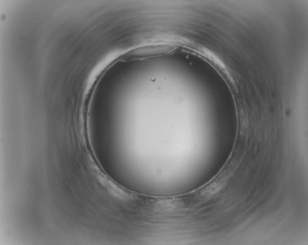 X0000078841480200611201301