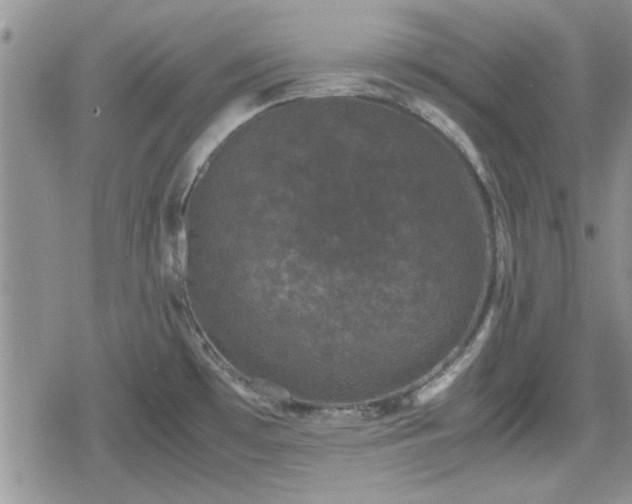 X0000078841481200611201301