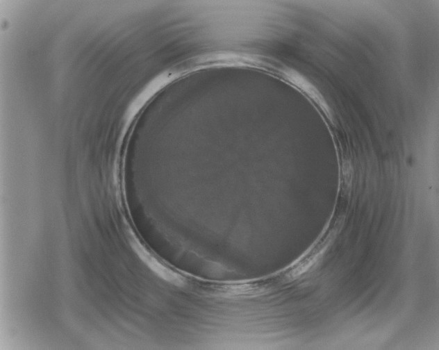 X0000078841482200611201301