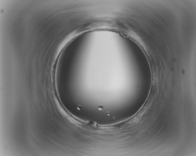 X0000078841483200611201301