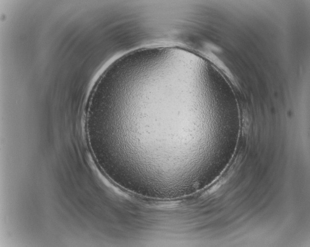 X0000078841484200611201301