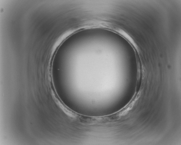 X0000078841485200611201301