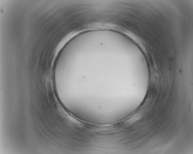 X0000078841486200611201300