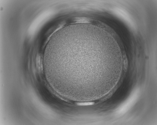 X0000078841487200611201300