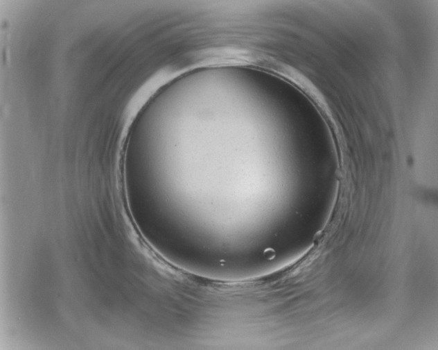 X0000078841488200611201300