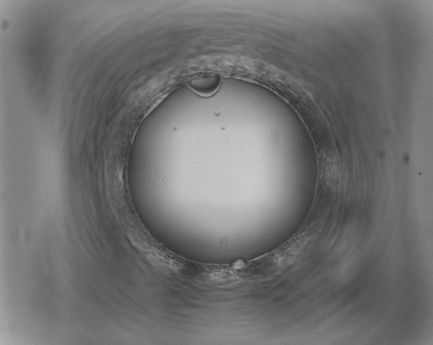 X0000078841489200611201300