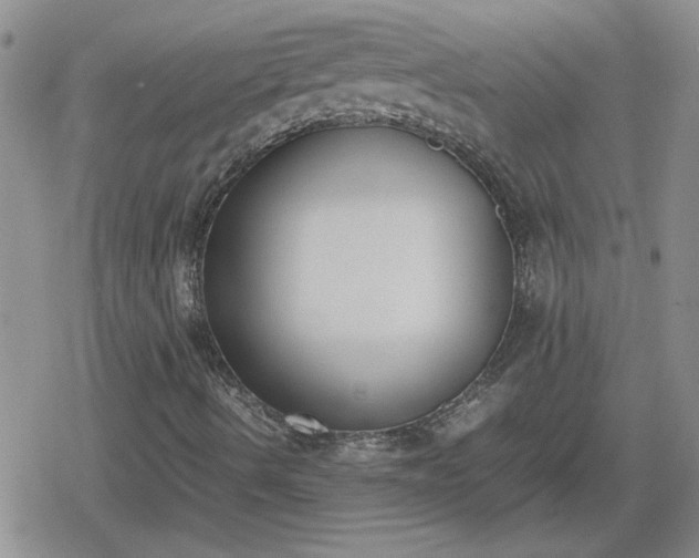 X0000078841490200611201300