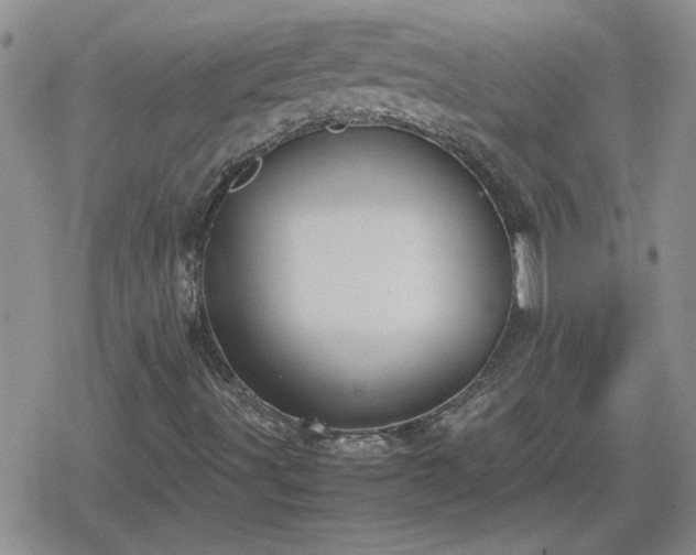 X0000078841491200611201300