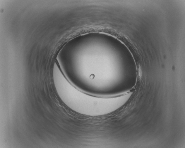 X0000078841492200611201300