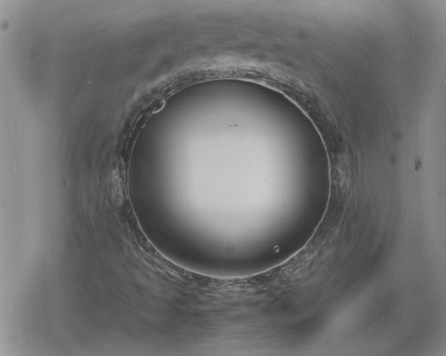 X0000078841493200611201300