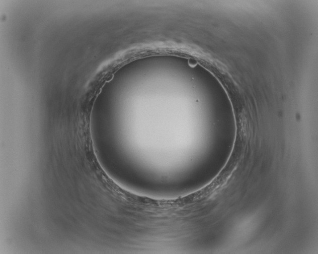 X0000078841494200611201300