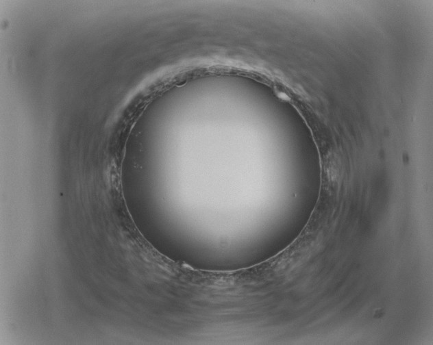 X0000078841495200611201300