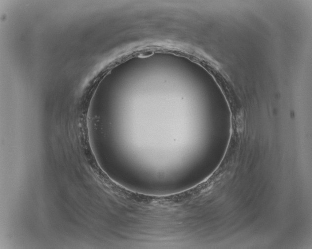 X0000078841496200611201300