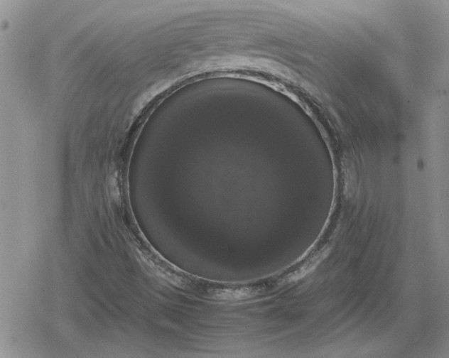 X0000078841497200611201300