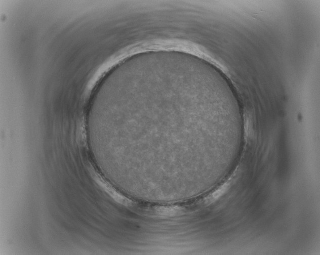 X0000078841498200611201300