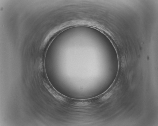 X0000078841499200611201300