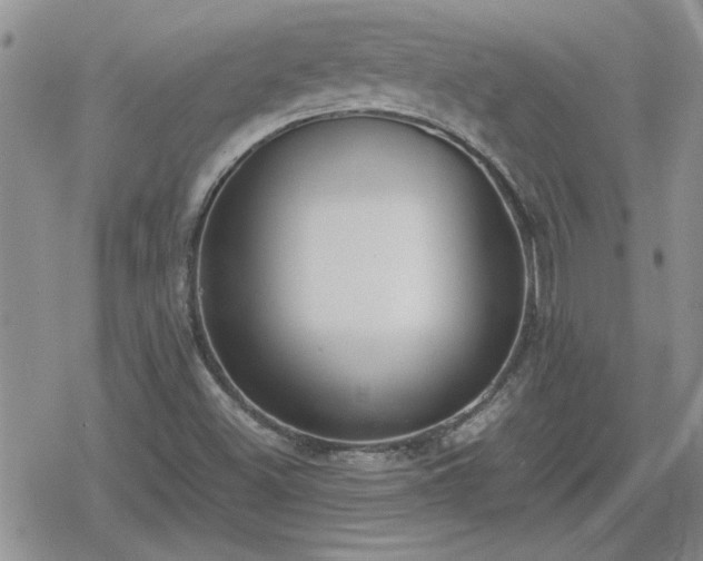 X0000078841500200611201300