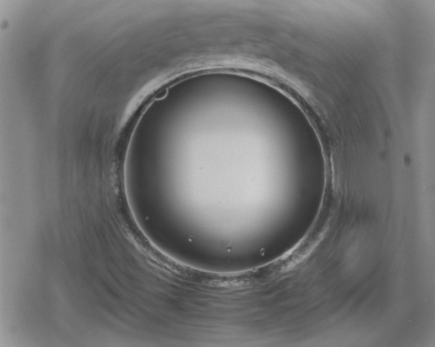 X0000078841501200611201300