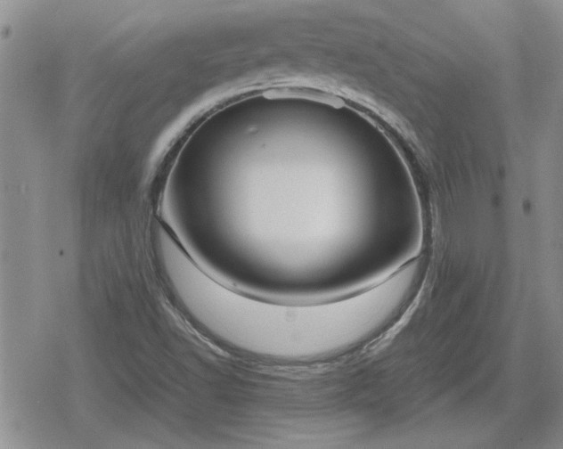 X0000078841502200611201300