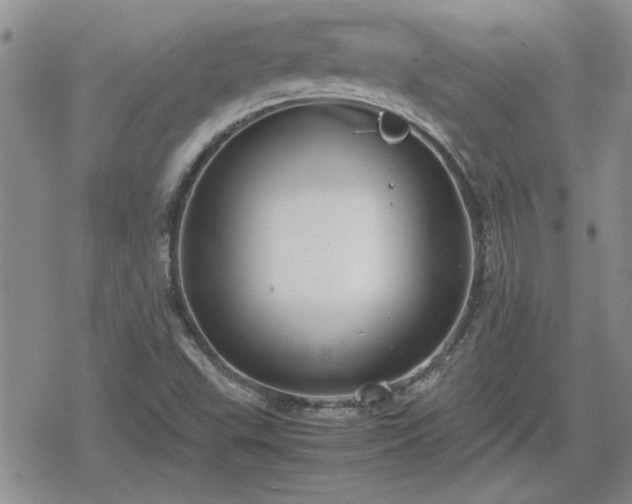 X0000078841503200611201300