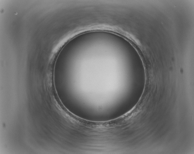 X0000078841504200611201300