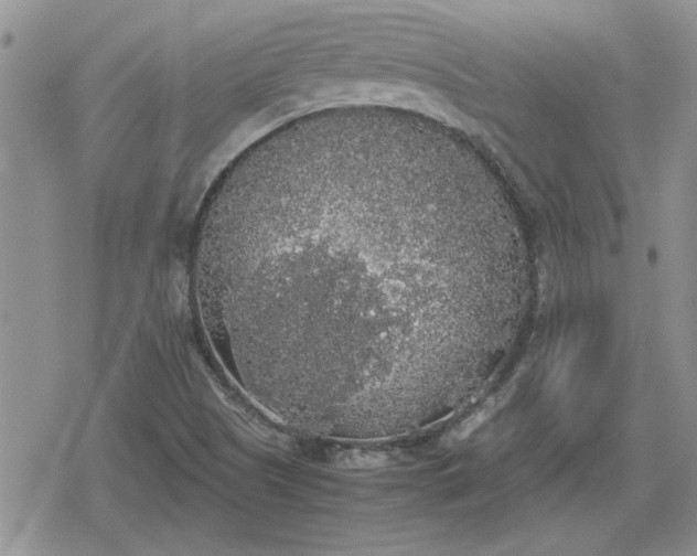 X0000078841505200611201300