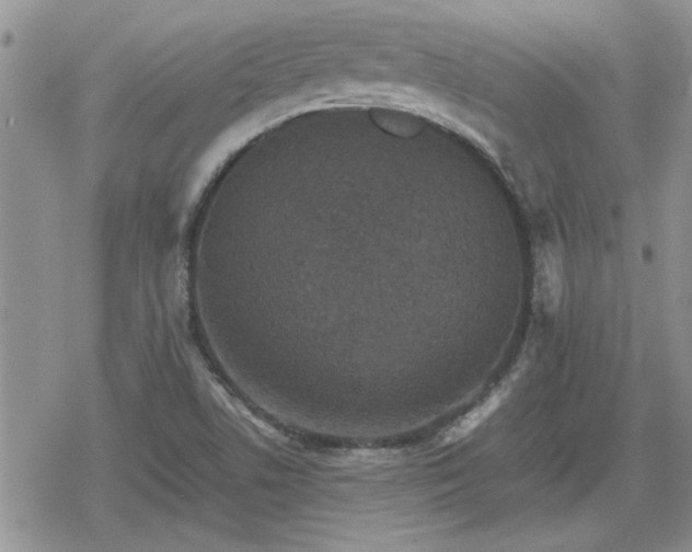 X0000078841506200611201300