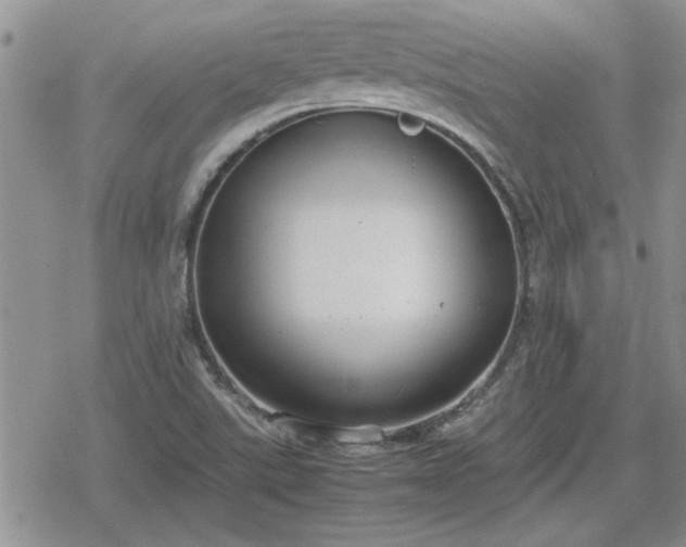 X0000078841507200611201300