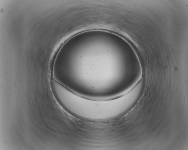 X0000078841508200611201300