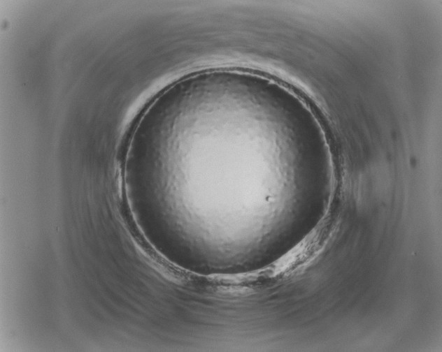 X0000078841509200611201300