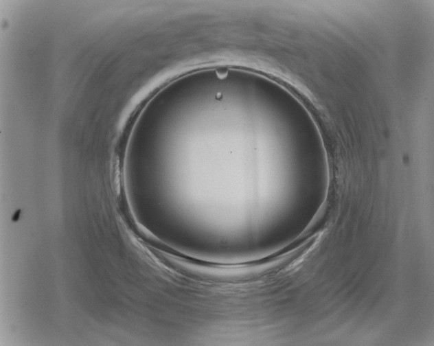 X0000078841510200611201300