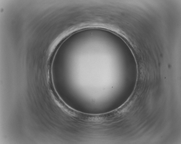 X0000078841511200611201300