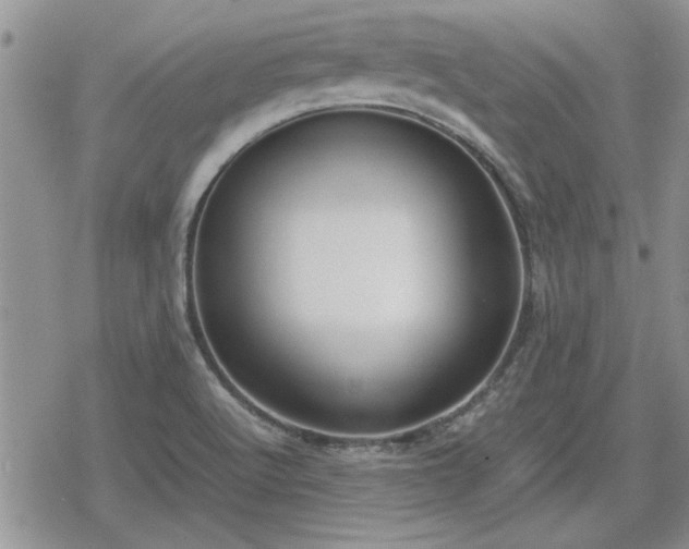 X0000078841512200611201300