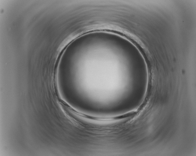 X0000078841513200611201300