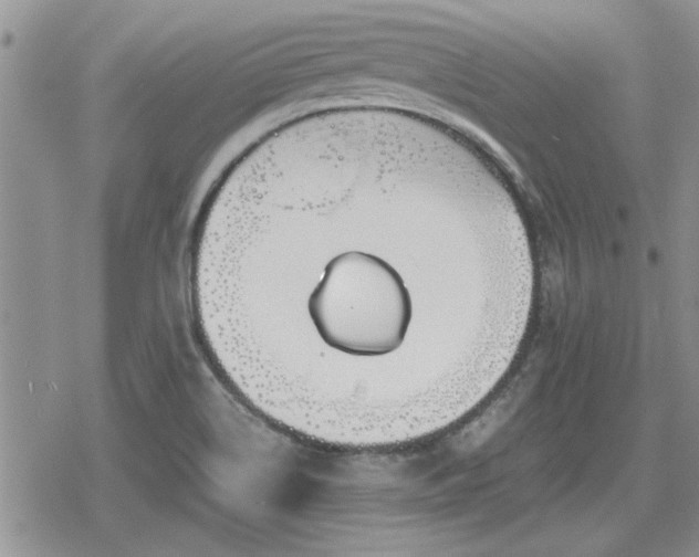 X0000078841514200611201300