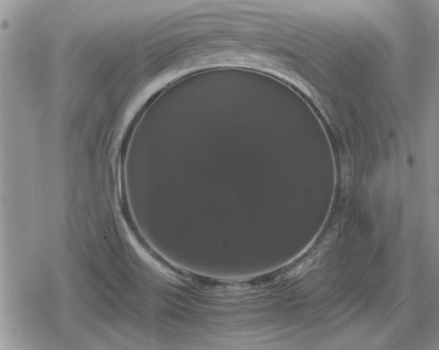 X0000078841515200611201300